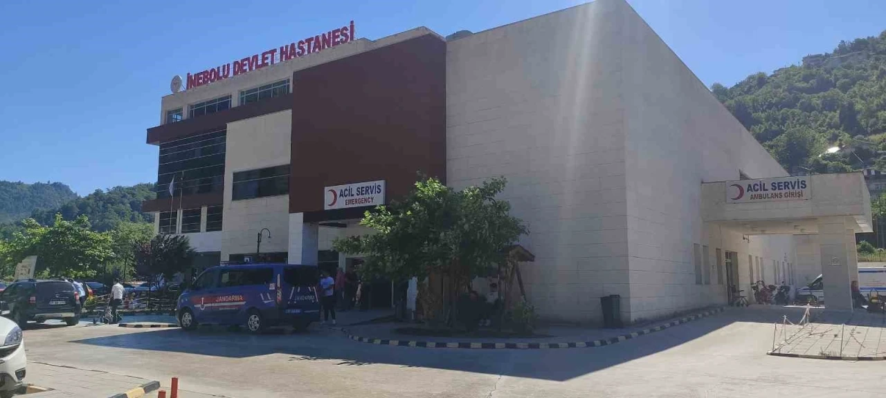 Üzüm yaprağı toplarken düşen kadın hayatını kaybetti
