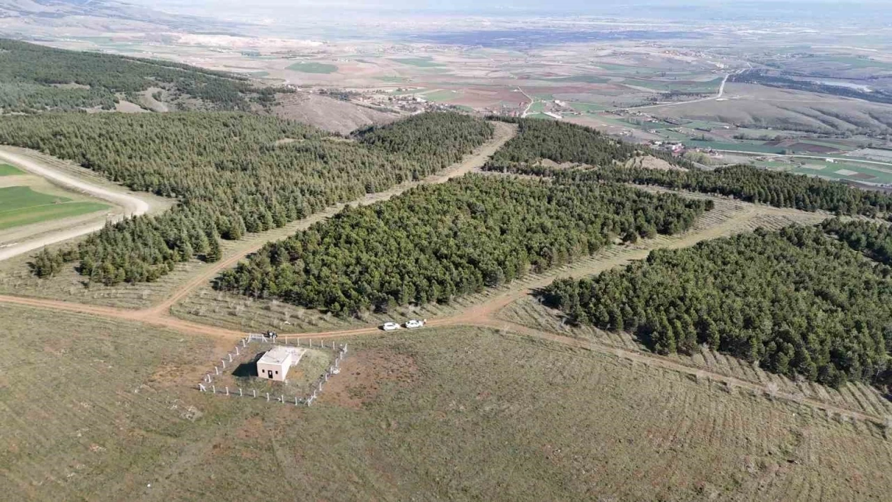 Vahşi cinayet zanlısı &ouml;nce boğmuş sonra 2 g&uuml;n art arda yakmış