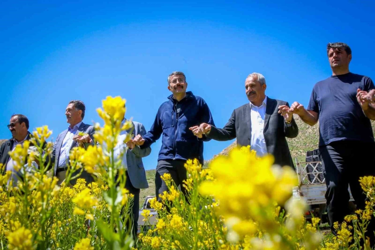 Vali Ali Çelik, 3 bin rakımlı Aveğak yaylasındaki vatandaşları ziyaret etti
