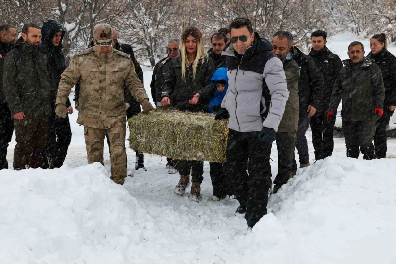 Vali Ayg&ouml;l, yaban hayvanları i&ccedil;in kolları sıvadı
