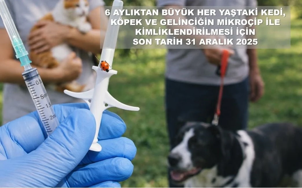 Valilikten evcil hayvan uyarısı
