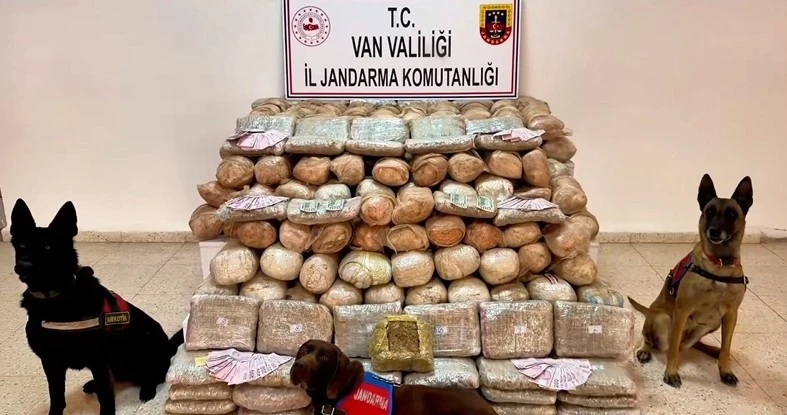 Van&rsquo;da 333 kilo skunk ele ge&ccedil;irildi

