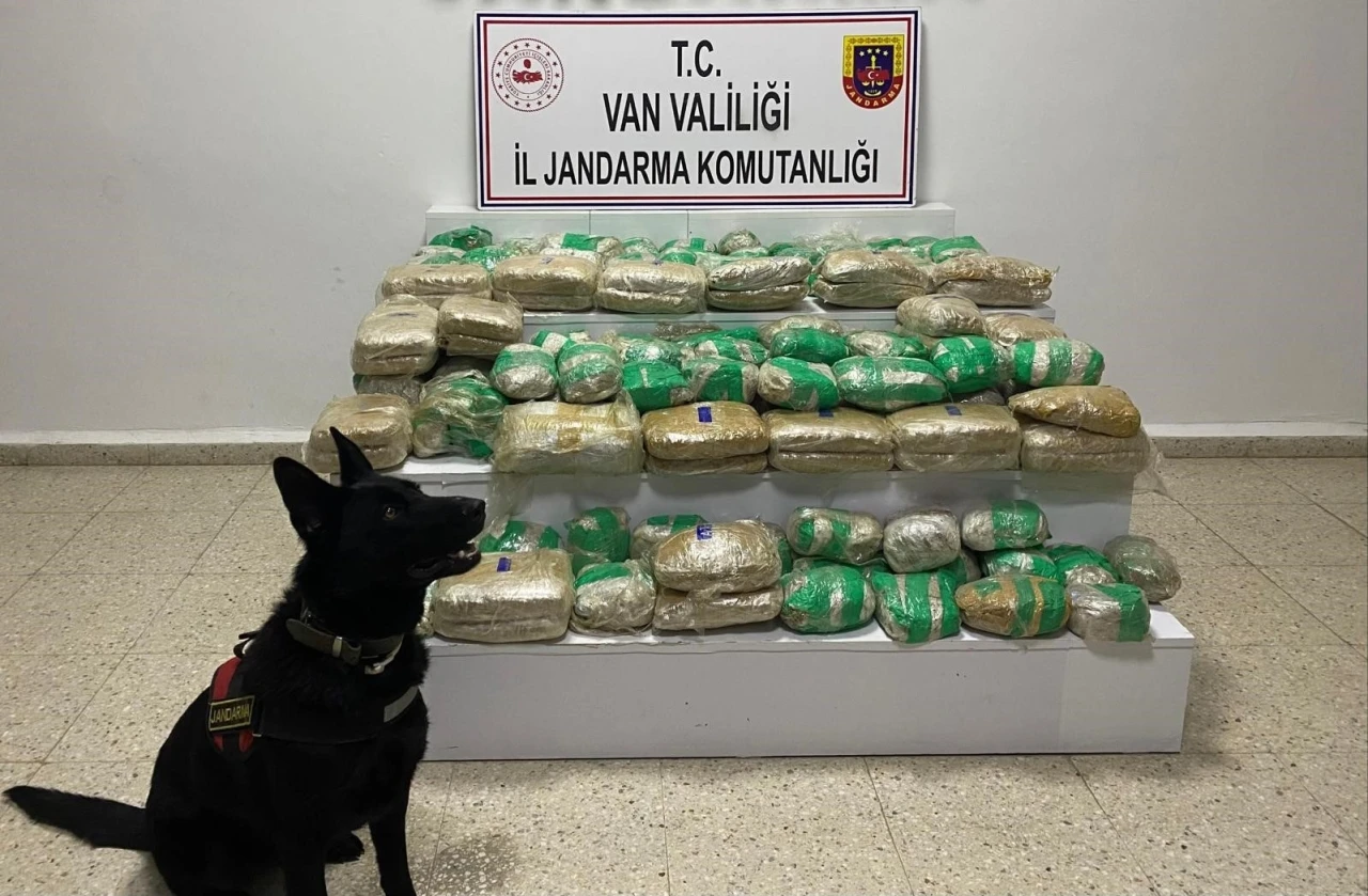 Van&rsquo;da 51 kilo skunk ele ge&ccedil;irildi
