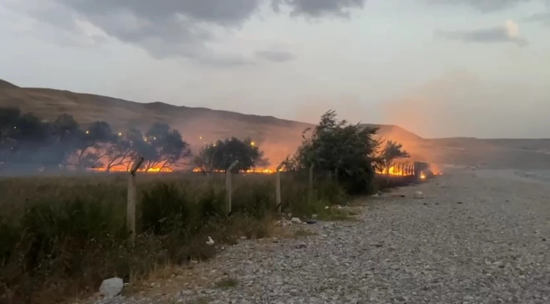 Van’da ağaçlık alanda yangın
