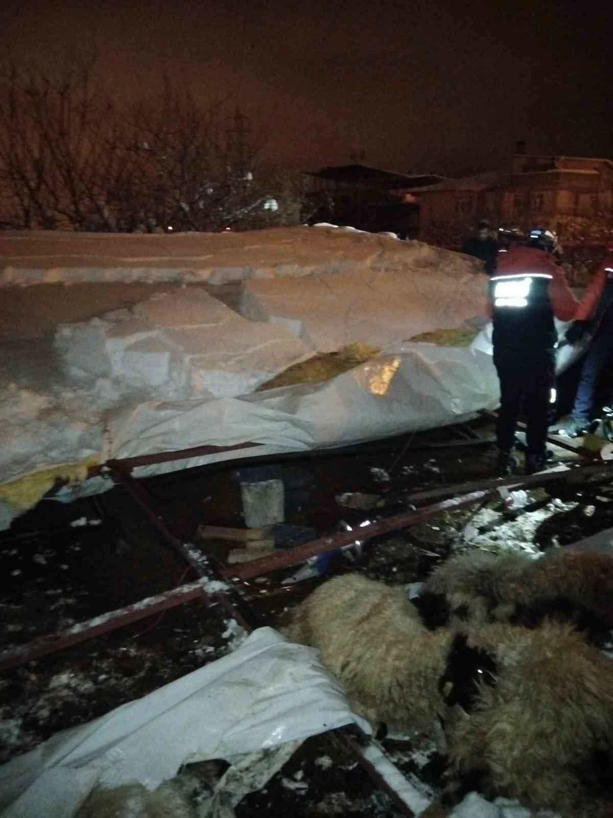 Van&rsquo;da ahır &ccedil;&ouml;kt&uuml;, 5 k&uuml;&ccedil;&uuml;kbaş hayvan telef oldu
