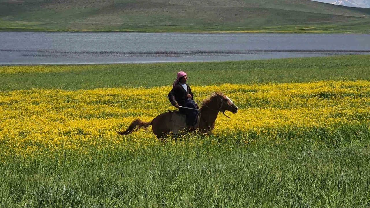 Van&rsquo;da bir yanda &ccedil;i&ccedil;ekler, diğer yanda metrelerce kar
