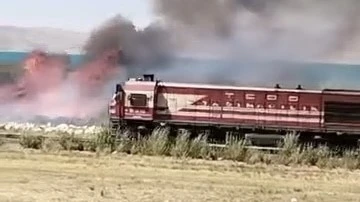 Van’da Erçek Gölü sazlıklarında yangın
