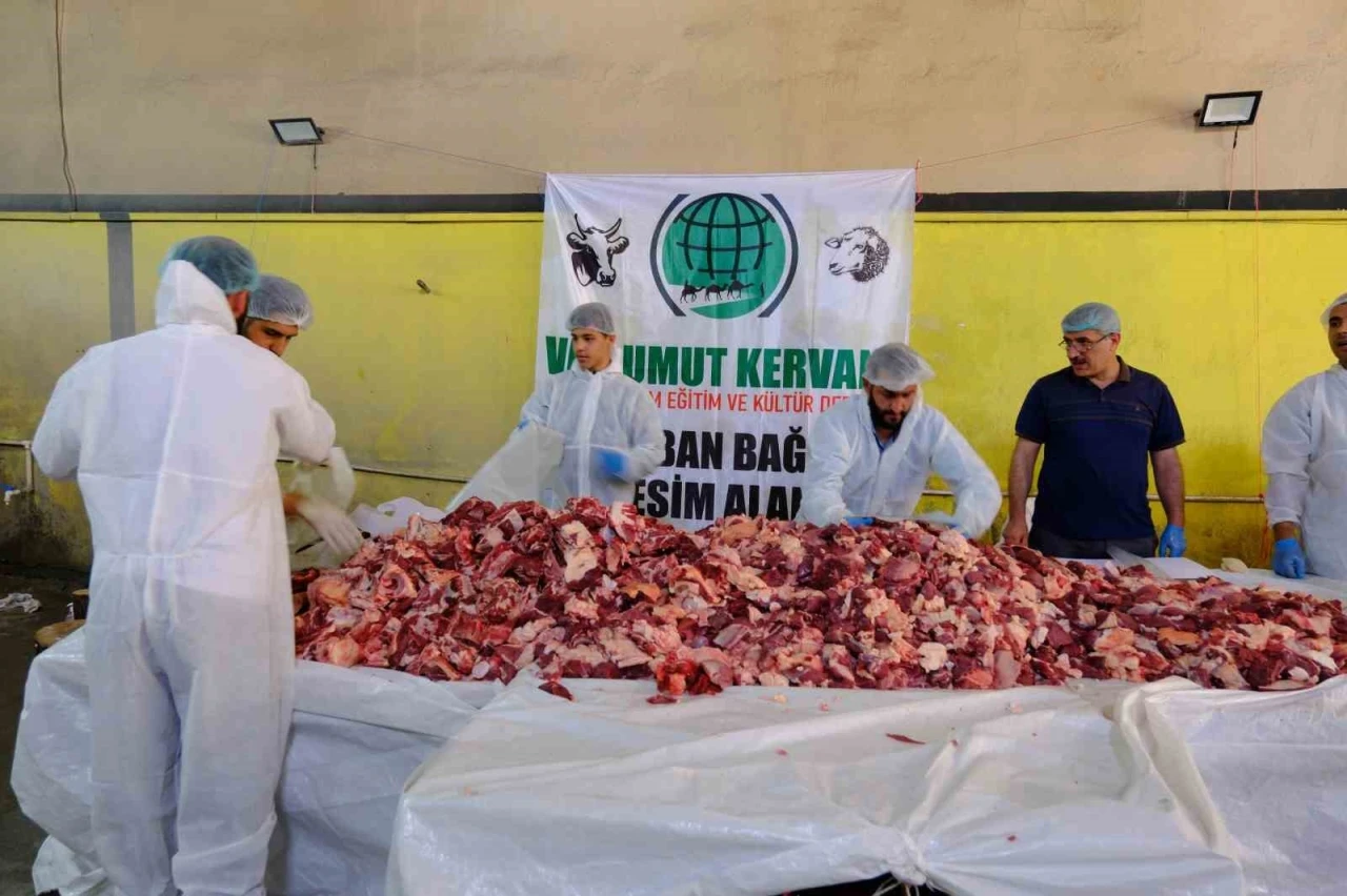 Van’da geleneksel toplu kurban kesimi

