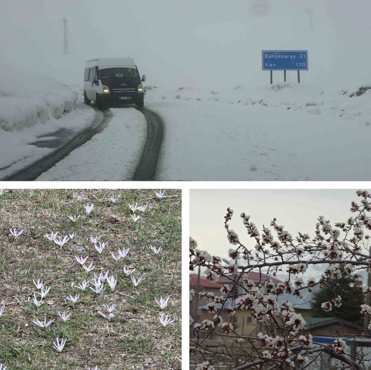 Van&rsquo;da iki mevsim bir arada: Bir yanda bahar, diğer yanda kış
