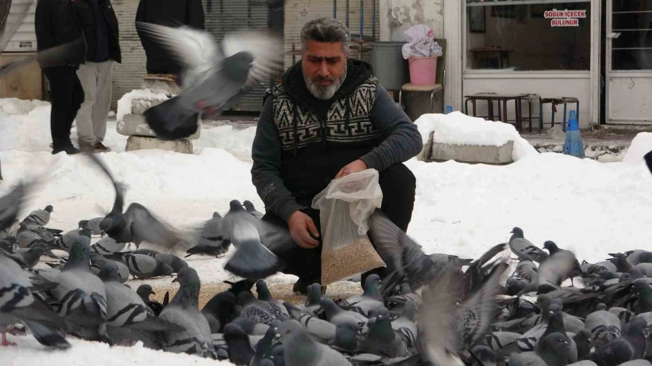 Van&rsquo;da kar sonrası g&uuml;vercinlerden g&ouml;rsel ş&ouml;len
