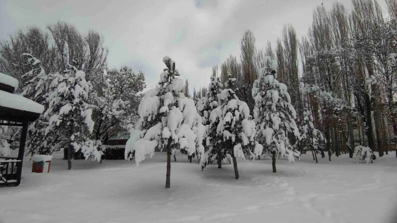 Van&rsquo;da karla gelen g&uuml;zellik: Ağa&ccedil;lar kartpostallık manzaralar oluşturdu
