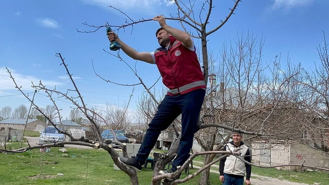 Van’da meyve ağaçları için budama eğitimi
