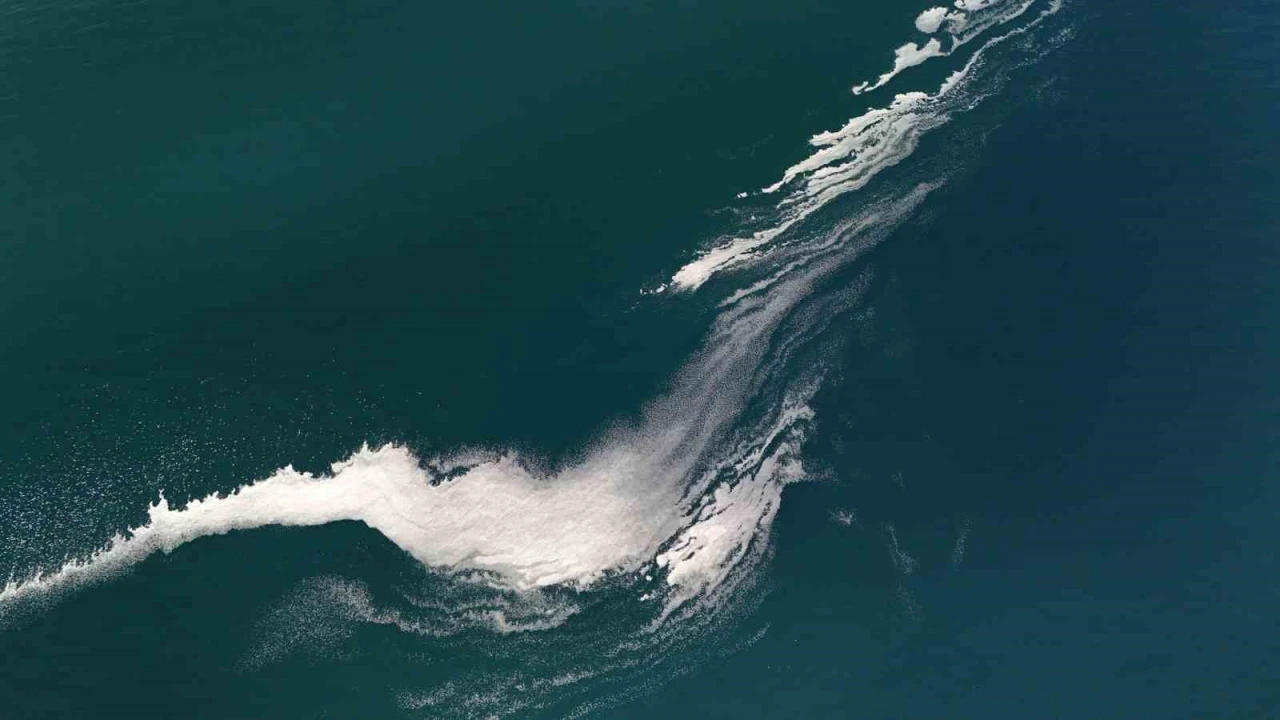 Van G&ouml;l&uuml; y&uuml;zeyindeki k&ouml;p&uuml;klenme şaşırttı
