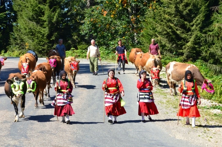&lsquo;Vargit&rsquo; &ccedil;i&ccedil;eklerinin a&ccedil;tığını g&ouml;rd&uuml;ler, yaylalarından d&ouml;n&uuml;şe ge&ccedil;tiler
