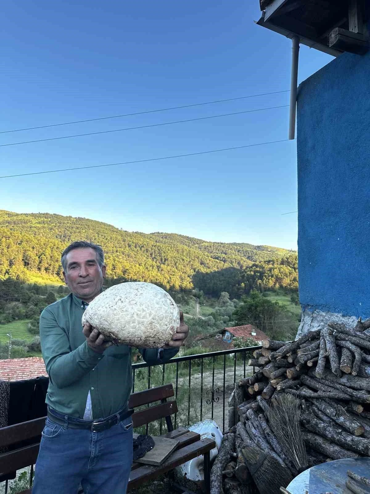 Vatandaşın bulduğu 5 kiloluk mantar şaşırttı
