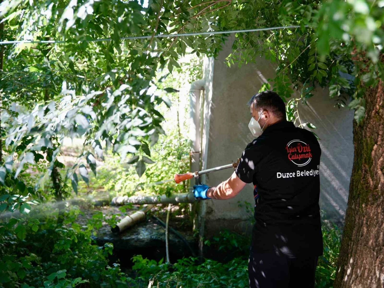 Vatandaşlara, Asya Kaplan sivrisineği uyarısı
