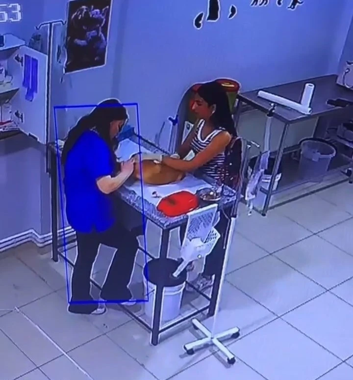 Veteriner kliniğinde köpeğini tedavi ettiren kadın bayıldı

