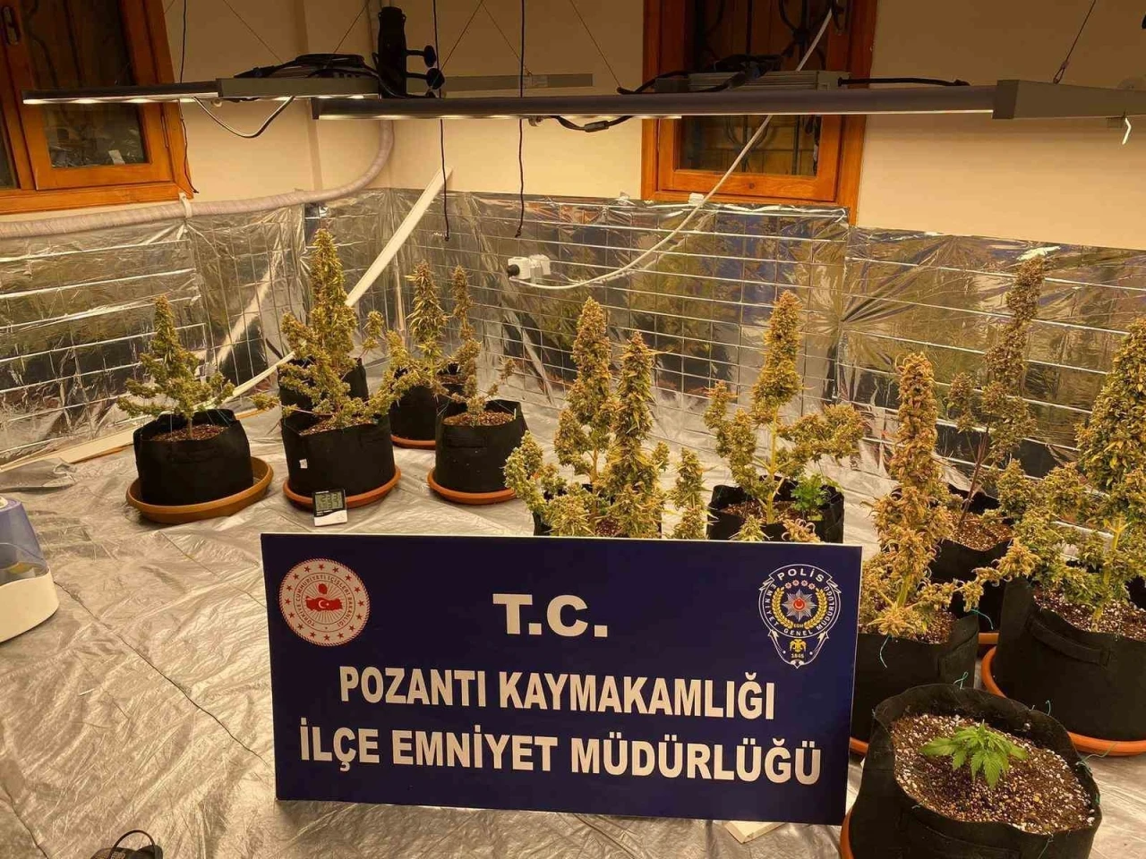 Villada uyuşturucu yetiştirmişler: Torbacı &rsquo;sevgililer&rsquo; yakalandı, 4 kilo uyuşturucu ele ge&ccedil;irildi
