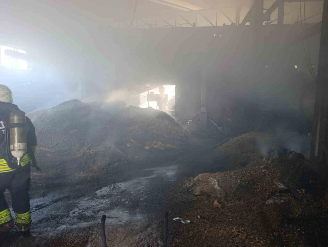 Vize&rsquo;de palet fabrikasının deposunda yangın
