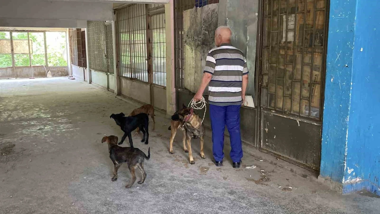 Yaklaşık 2 haftadır depoda mahsur kalan 6 köpek kurtarıldı
