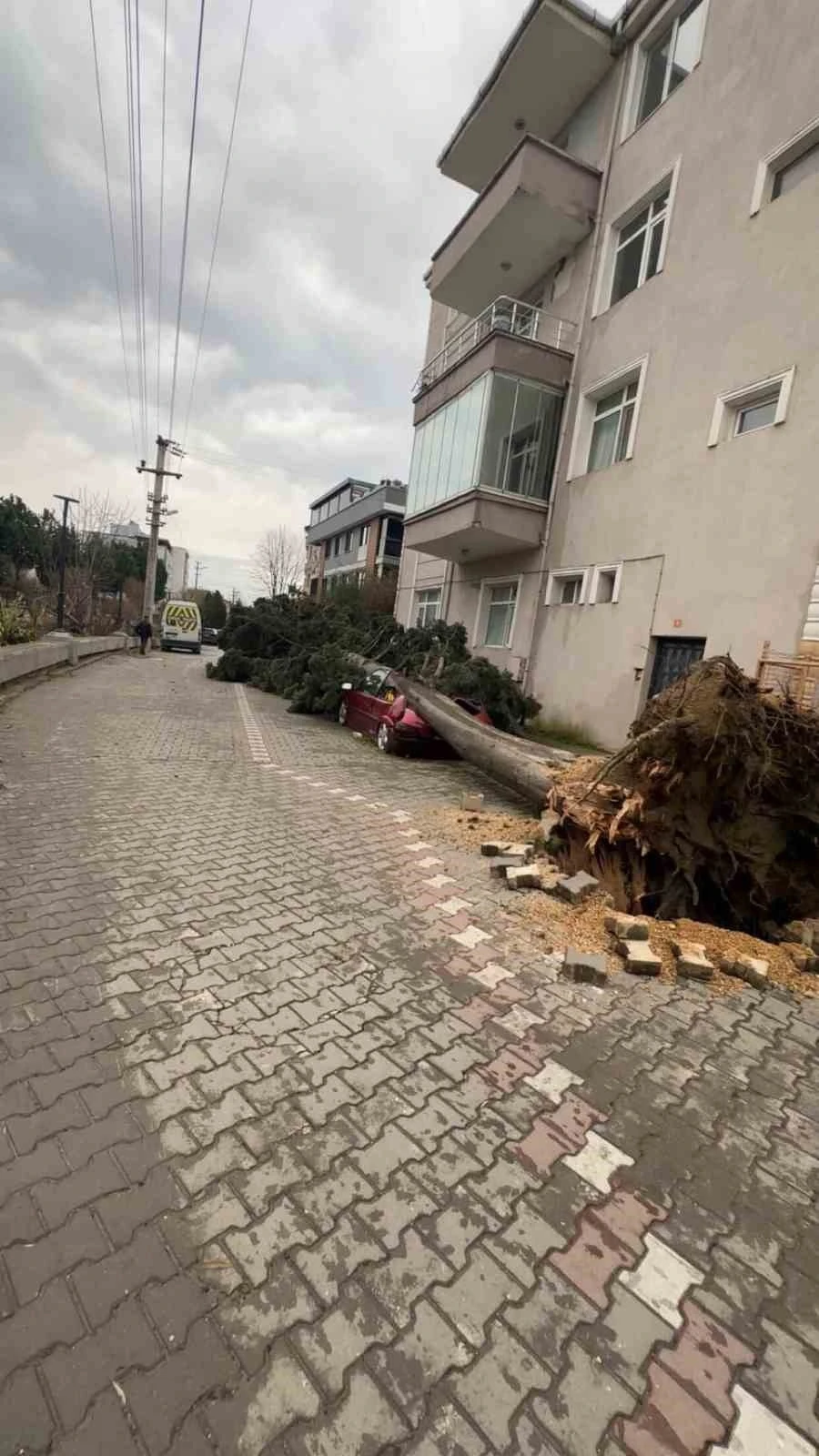 Yalova&rsquo;da fırtına hayatı olumsuz etkiliyor
