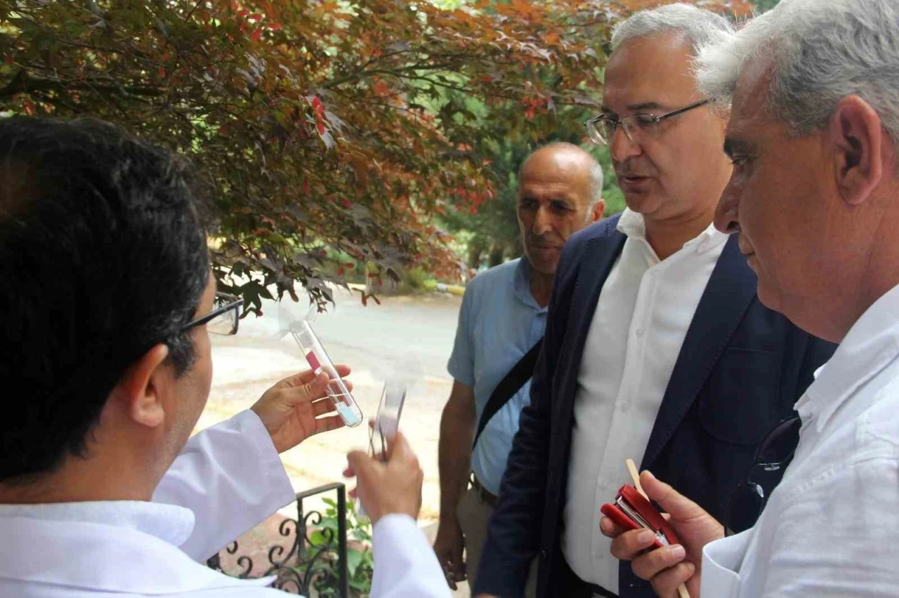 Yalova’da kahverengi kokarcaya karşı samuray arılar doğaya salındı
