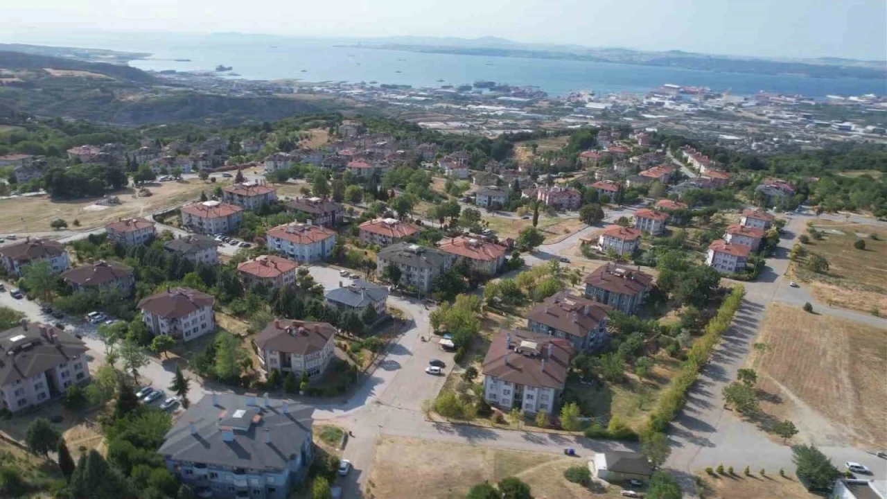 Yalova’da tepki çeken hayvan besleme yasağı
