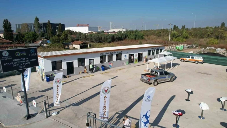 Yalova&rsquo;da tersanelerdeki artık yemekler kedi ve k&ouml;pekler i&ccedil;in mama oluyor
