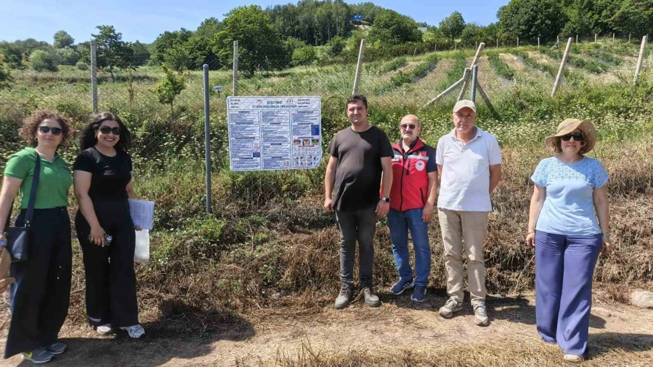 Yalova&rsquo;da yaban mersininde iyi tarım uygulamaları denetleniyor
