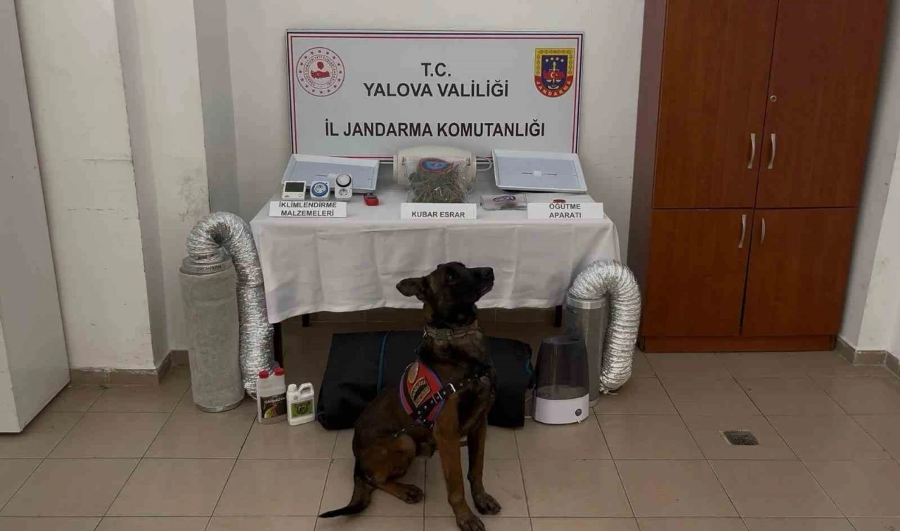 Yalova merkezli 3 ilde g&ouml;&ccedil;men ka&ccedil;ak&ccedil;ılığı operasyonu: 3 tutuklama
