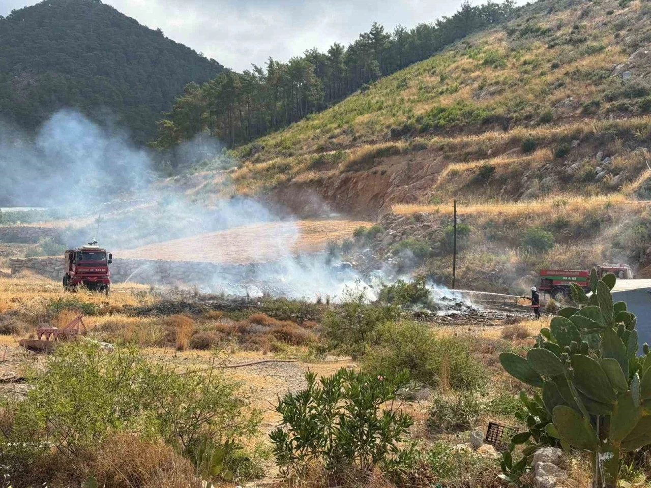 Yangın ormana sıçramadan söndürüldü
