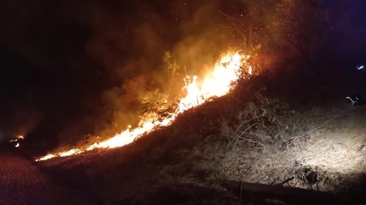 Yangın tren yoluna sı&ccedil;radı, uluslararası lojistik tren seferi durdu
