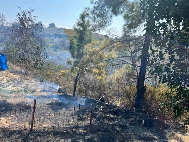 Yangında 150 zeytin ağacı ve baraka zarar g&ouml;rd&uuml;

