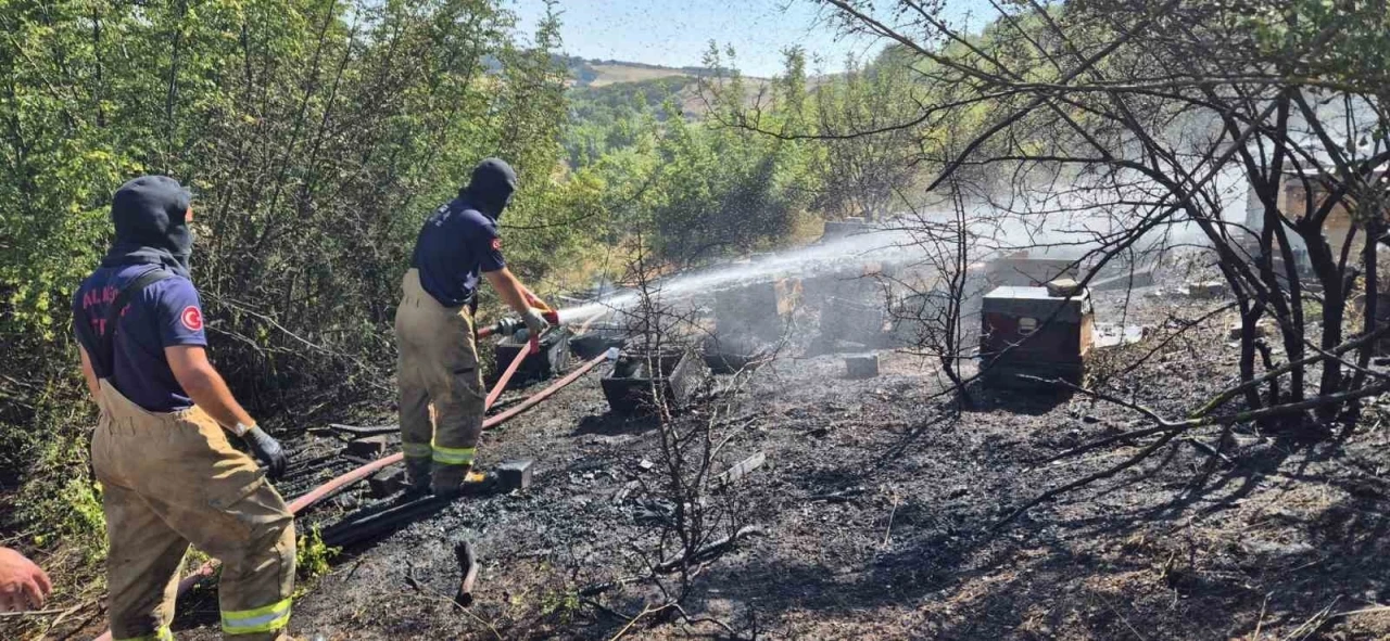 Yangında 85 arı sandığı k&uuml;l oldu
