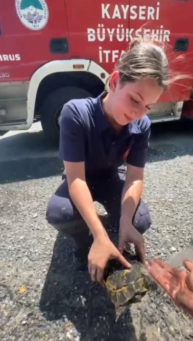 Yangında mahsur kalan kaplumbağaya itfaiyeden yardım eli