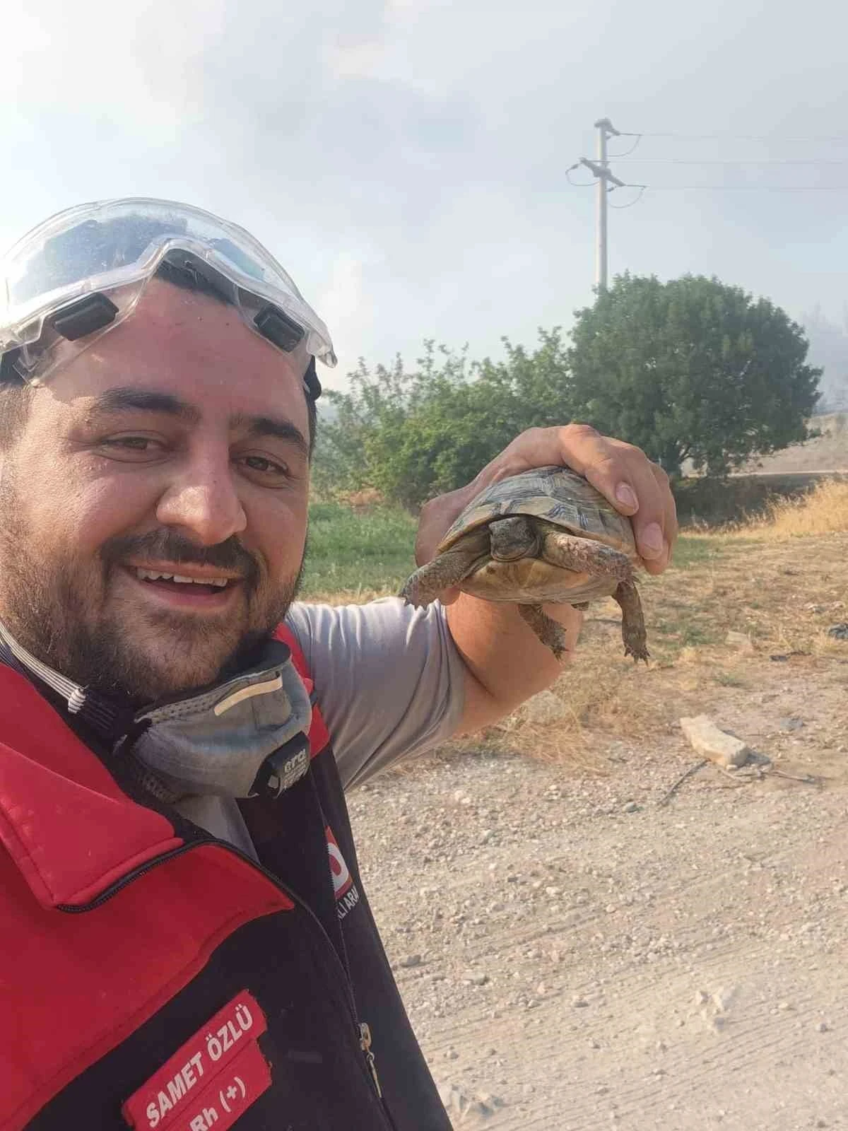Yangından etkilenen hayvanlara elleriyle su verdiler

