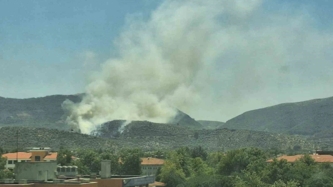 Yangınlar bu defa Selçuk’a sıçradı, alevlere karadan müdahale yapılıyor

