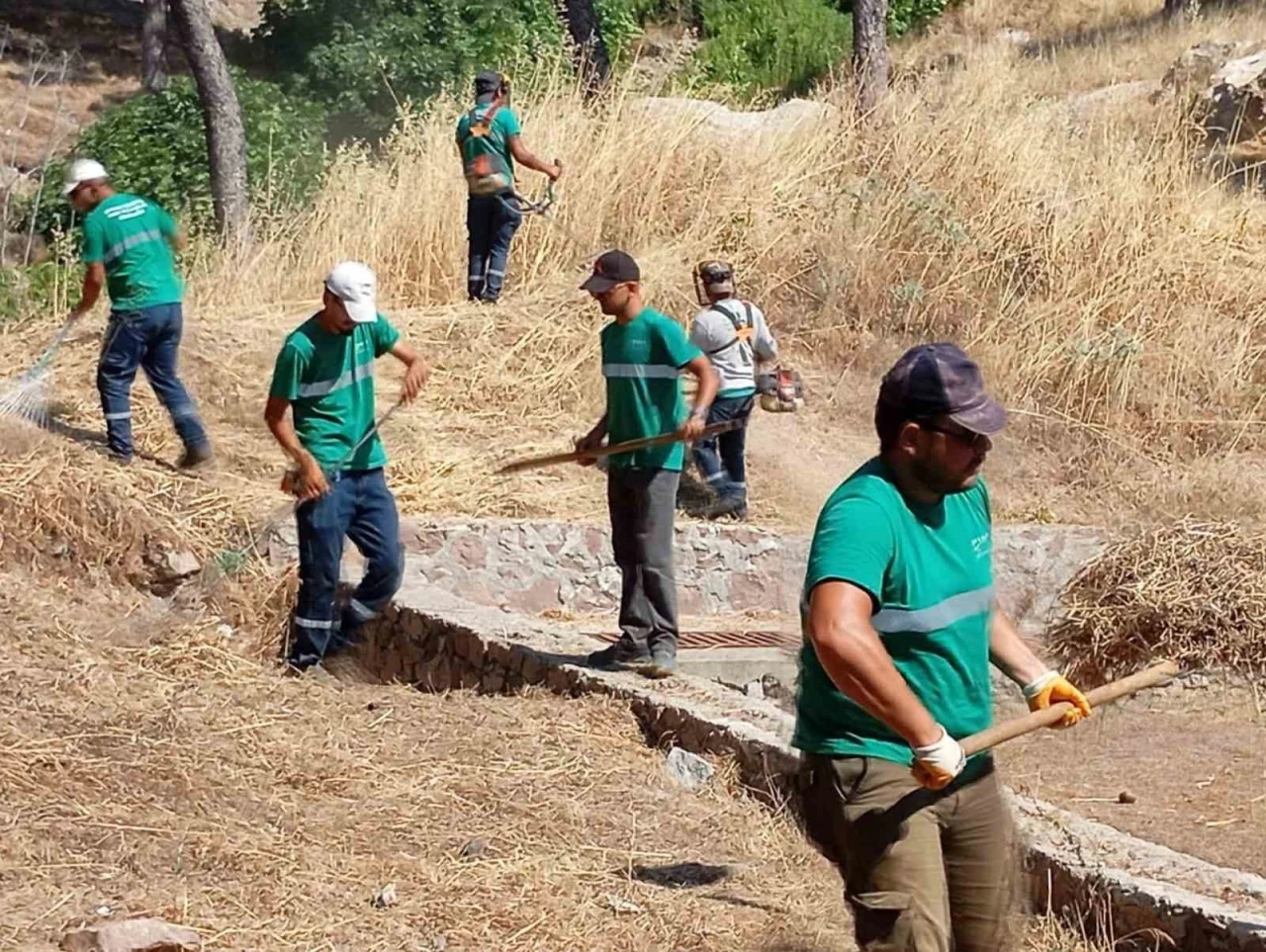 Yangınlara karşı Ayvalık&rsquo;ta kuru ot temizliği aralıksız s&uuml;r&uuml;yor

