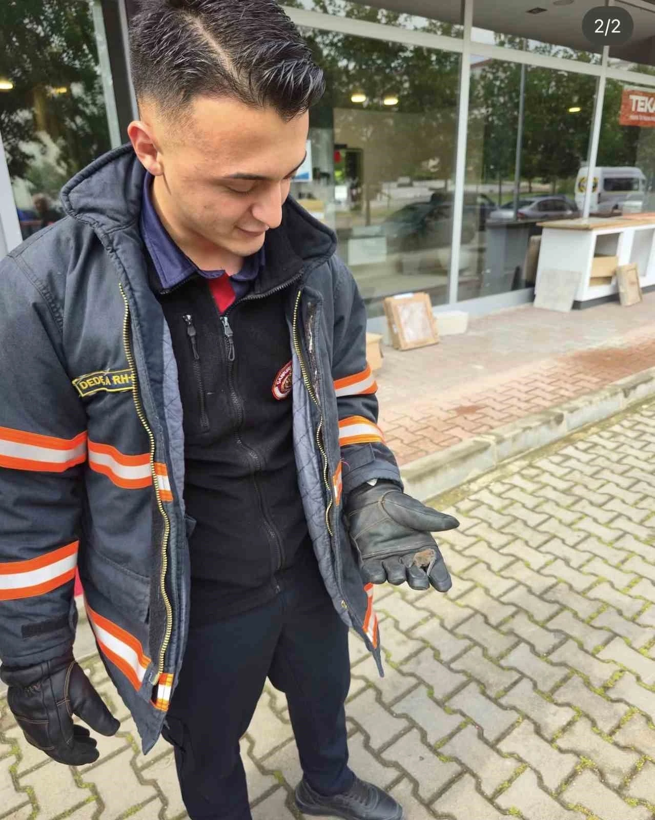 Yaralı yarasa koruma altına alındı
