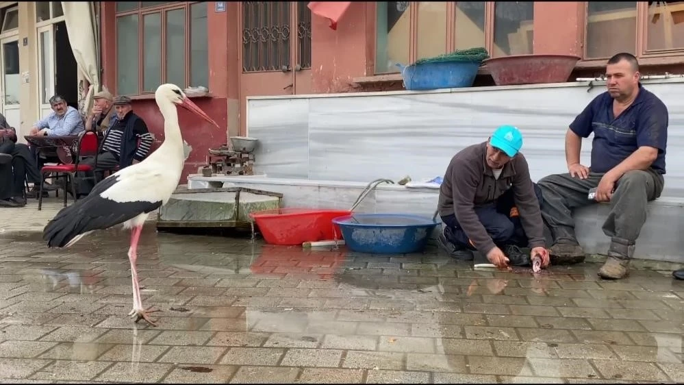 Yaren’in rakibi Bilal Leylek baba oldu
