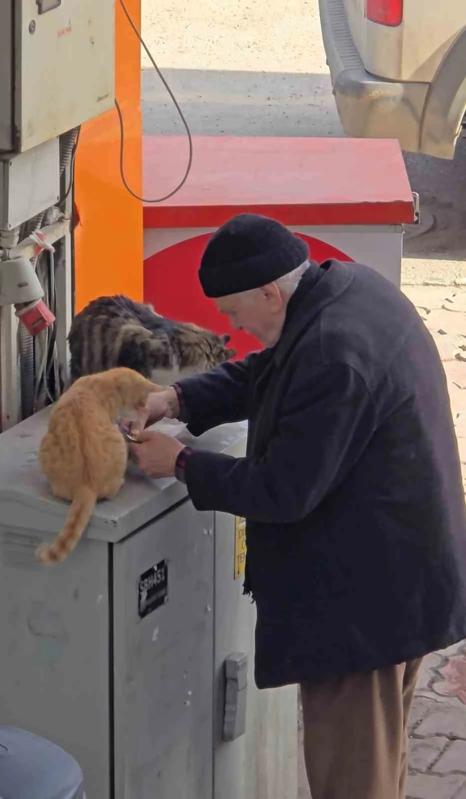 Yaşlı adamın sokak kedilerine şefkati y&uuml;rekleri ısıttı
