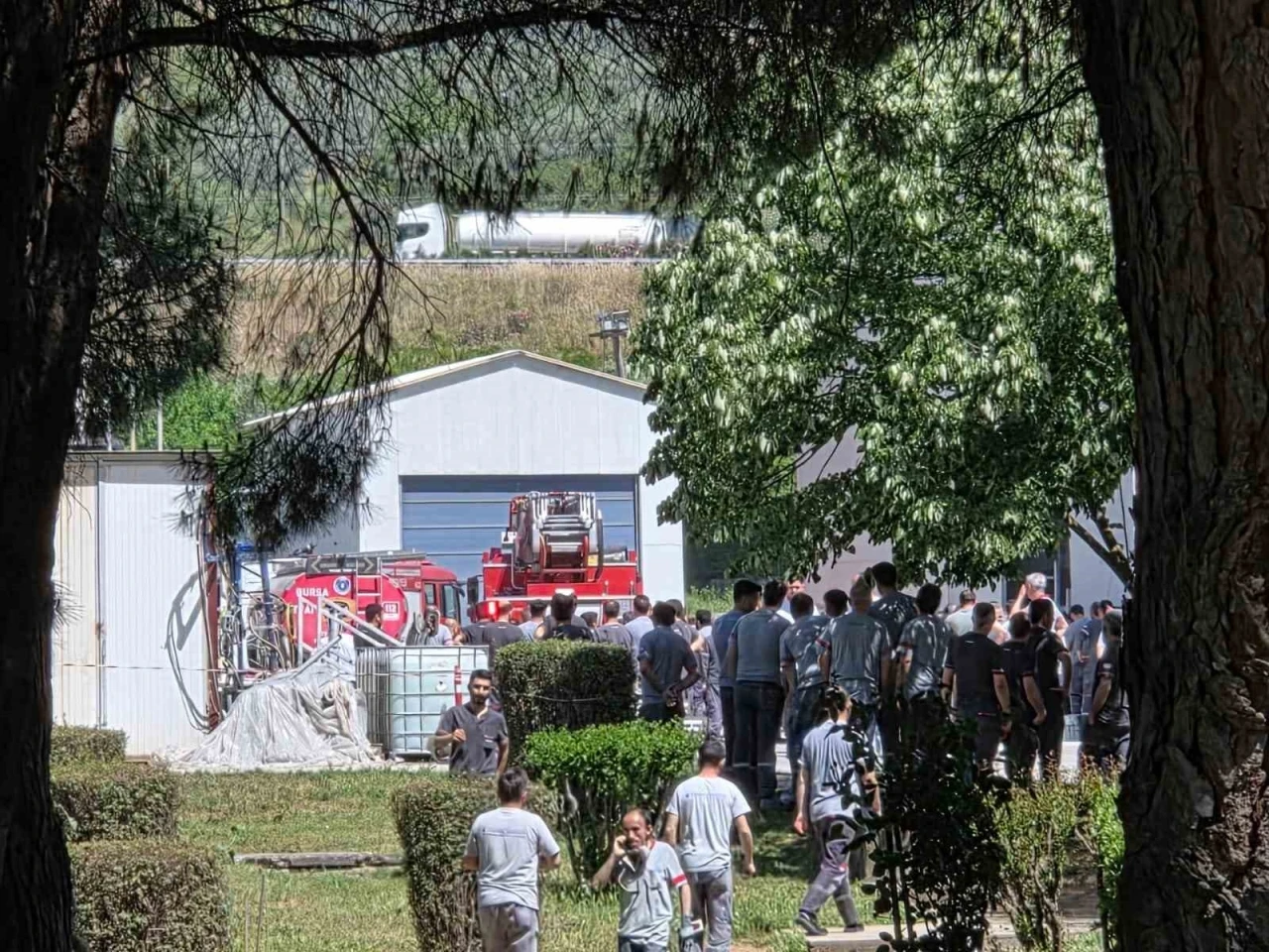 Yat fabrikasındaki yangın paniği
