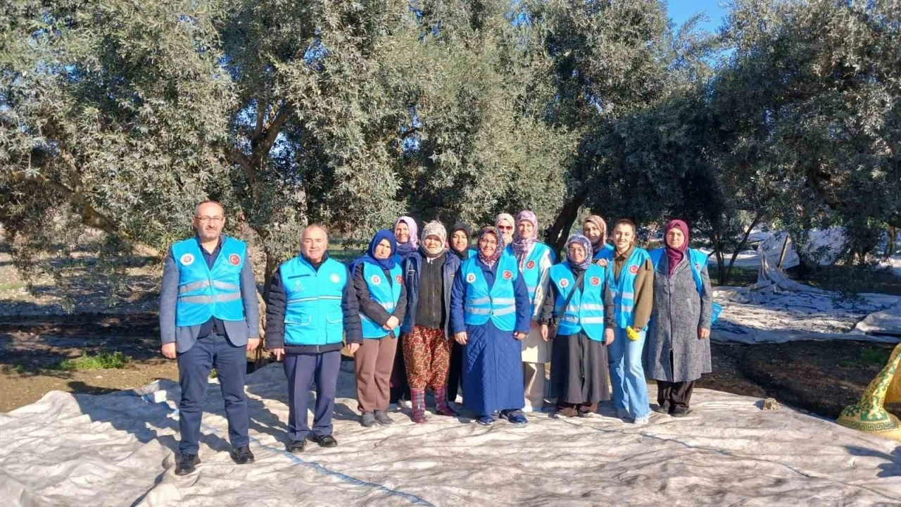 Yatağan&rsquo;da zeytin hasadı ve bereket duası yapıldı
