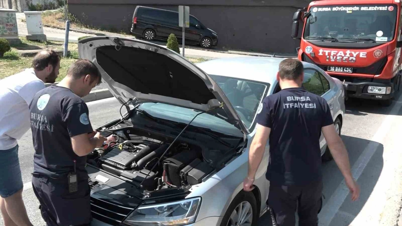 Yavru kedi, trafiği kilitleri
