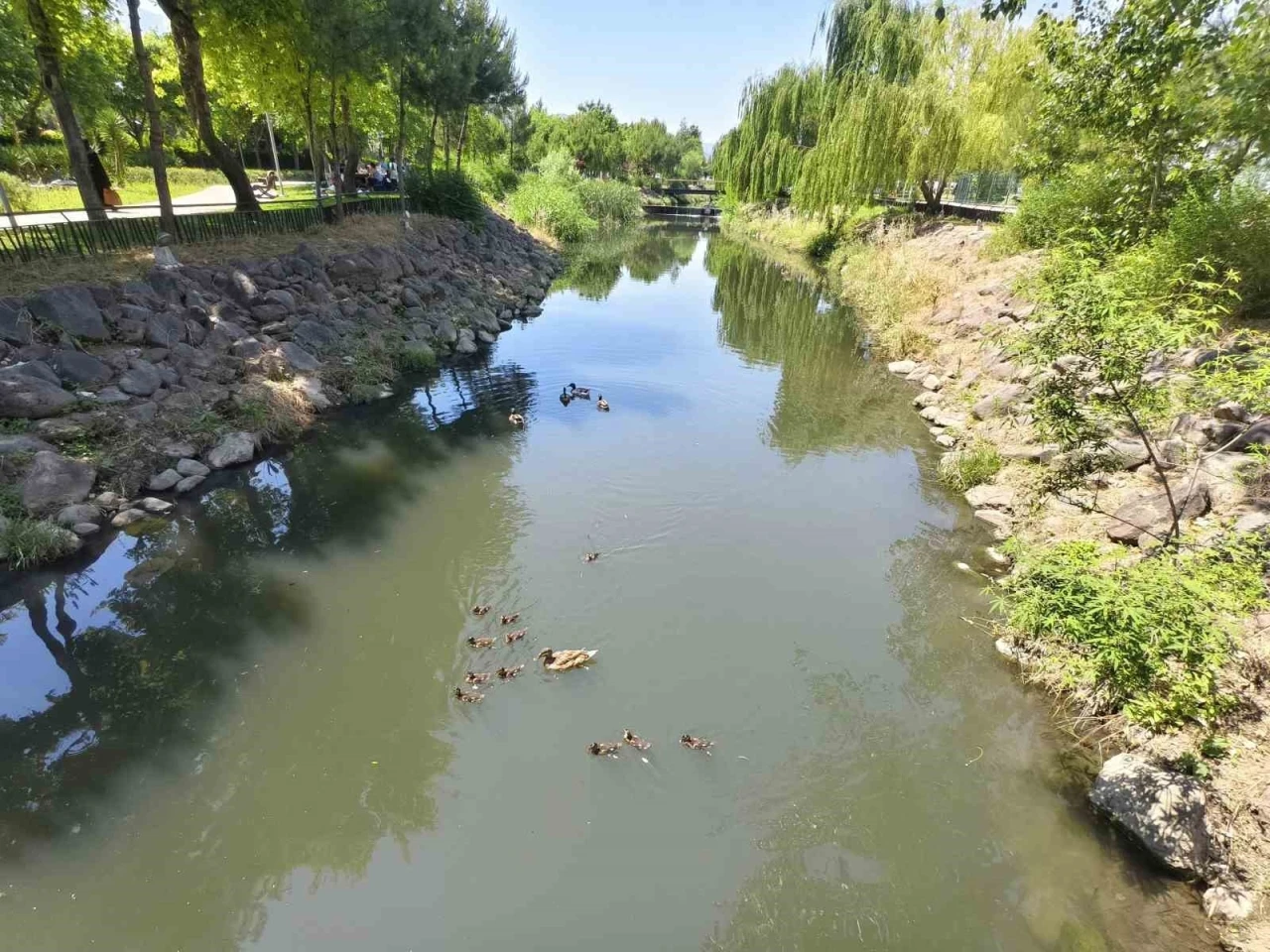 Yavru &ouml;rdekler vatandaşların ilgi odağı oldu
