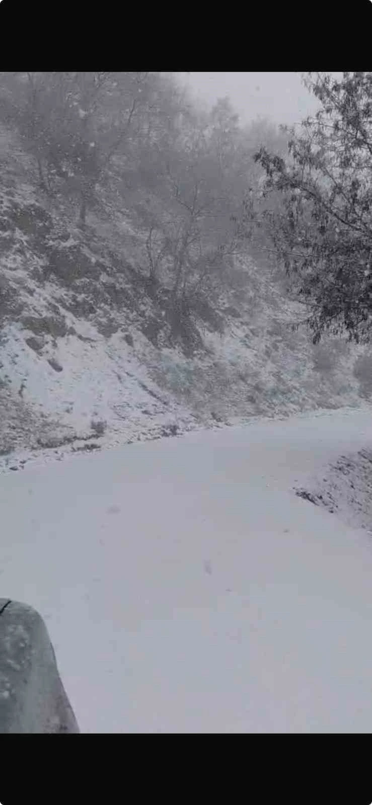 Yazın yanan orman sahası beyaza b&uuml;r&uuml;nd&uuml;
