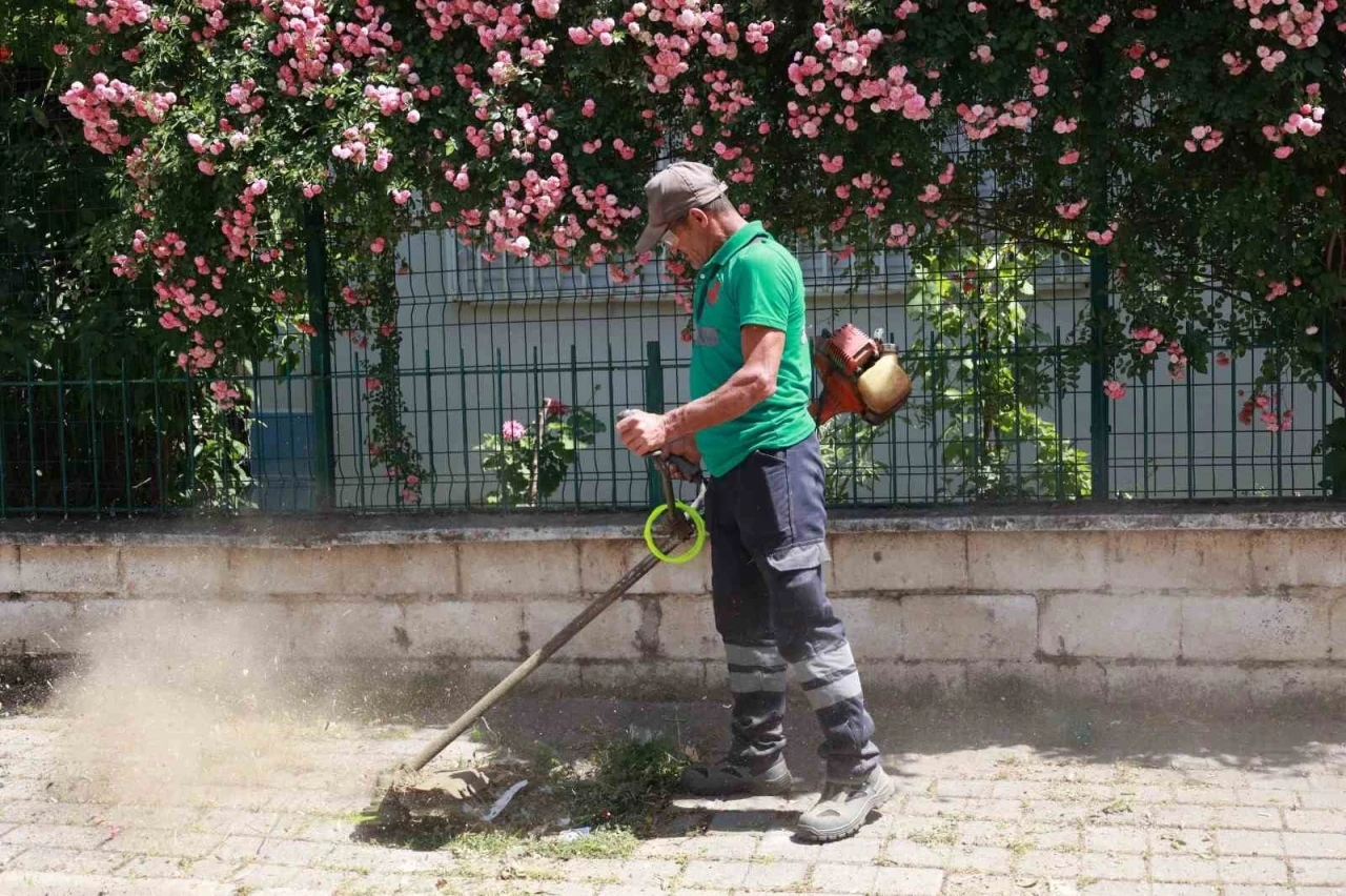 Yedieylül Mahallesi şehir hayatına geri döndü
