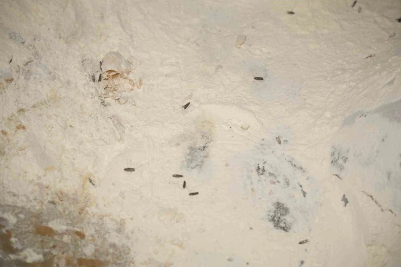 Yenişehir Belediyesi&rsquo;nden YESAŞ&rsquo;a hijyen cezası
