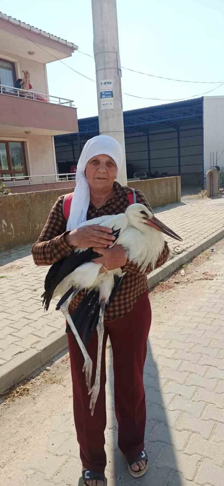 Yerde bitkin halde bulduğu yaralı leyleğe sahip &ccedil;ıktı

