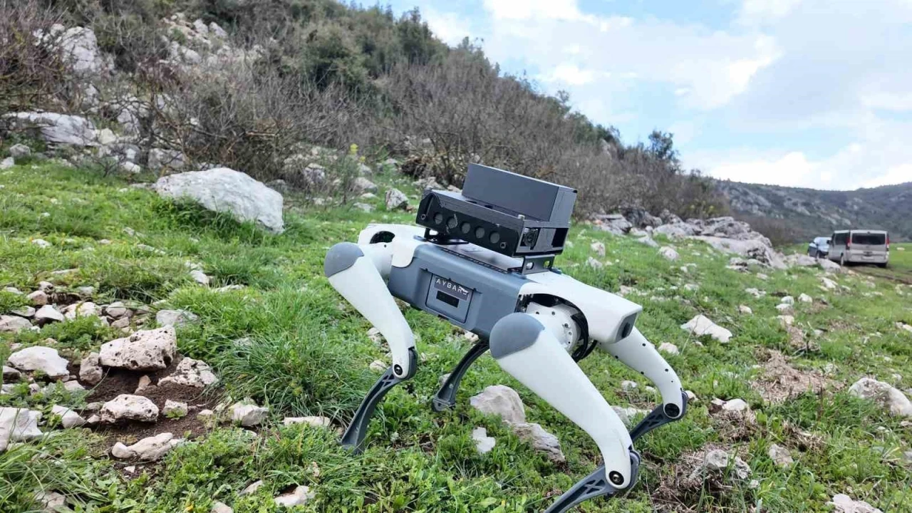Yerli savunma sanayi firmasından robotik köpek atılımı: &quot;AyBARS&quot;
